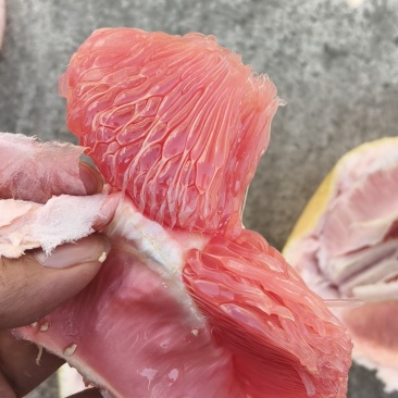 马家柚