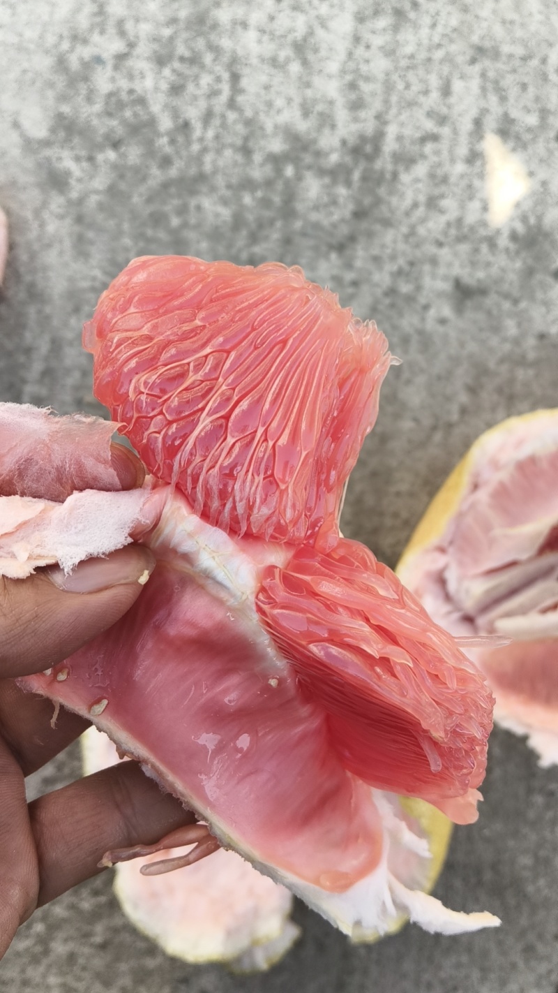 马家柚