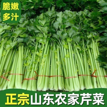 西芹大量上市中货源充足产地直发，支持各种包装，整车发货