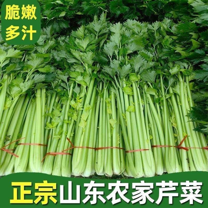 西芹大量上市中货源充足产地直发，支持各种包装，整车发货