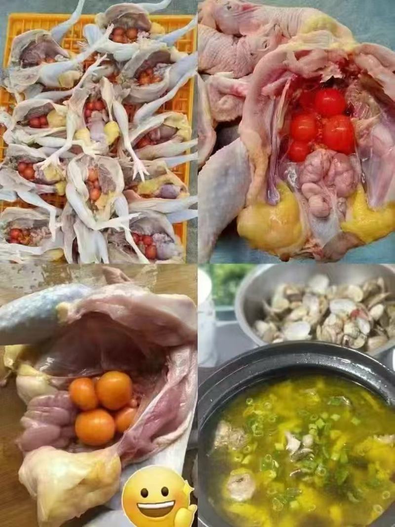 上好老母鸡，下蛋鸡，熬汤佳品，整车物流欢迎订购。