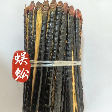 蜈蚣红头黑背蜈蚣湖北蜈蚣15-16公分中药材蜈蚣