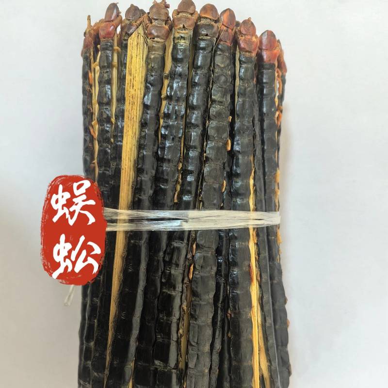 蜈蚣红头黑背蜈蚣湖北蜈蚣15-16公分中药材蜈蚣