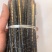 蜈蚣红头黑背蜈蚣湖北蜈蚣15-16公分中药材蜈蚣