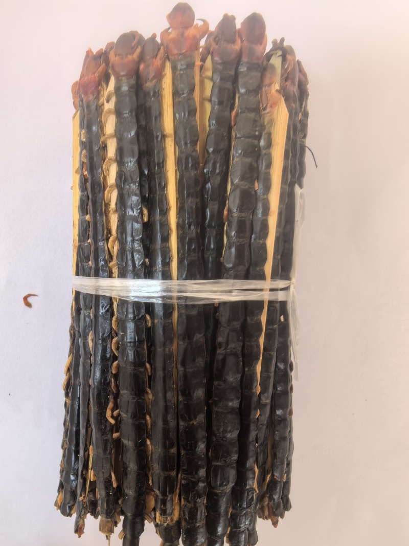 蜈蚣红头黑背蜈蚣湖北蜈蚣15-16公分中药材蜈蚣