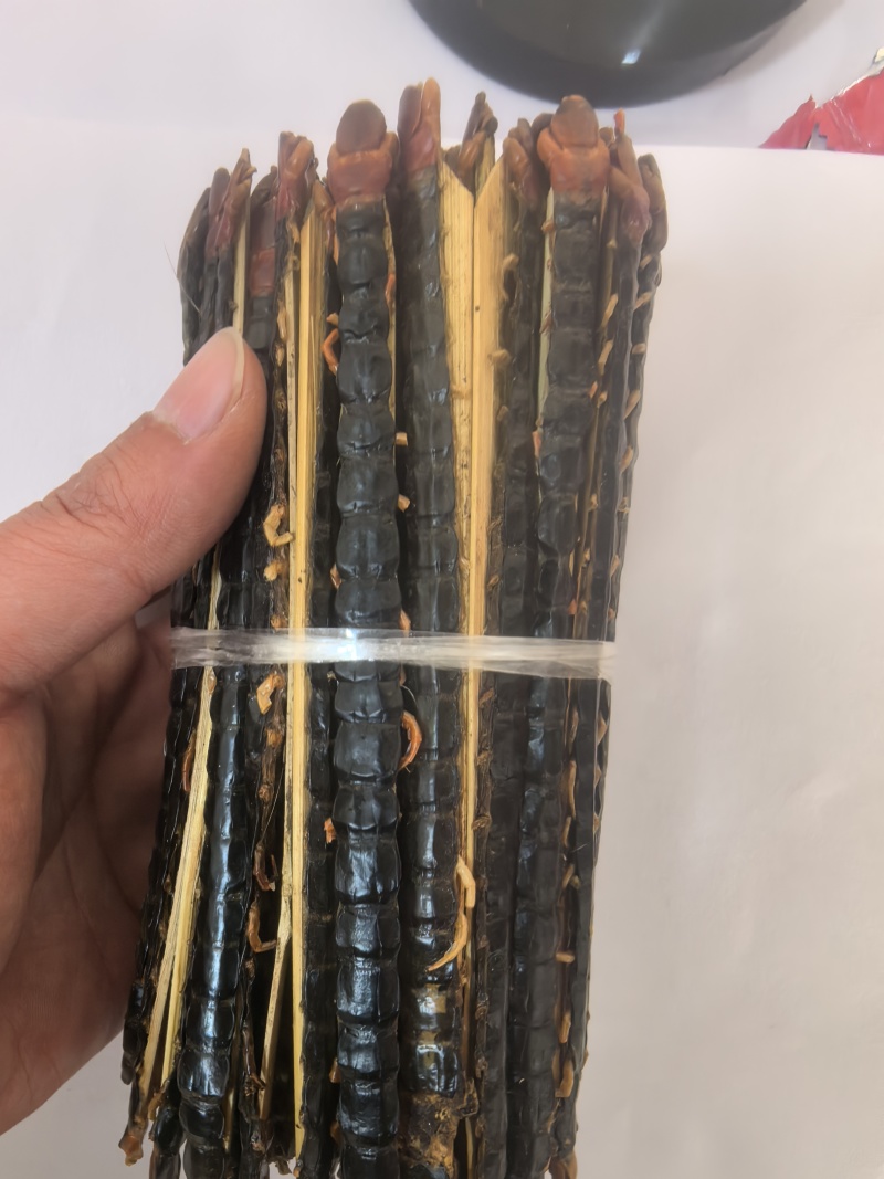 蜈蚣红头黑背蜈蚣湖北蜈蚣15-16公分中药材蜈蚣