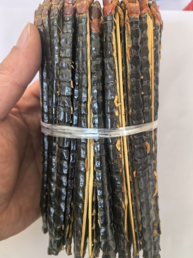 蜈蚣红头黑背蜈蚣湖北蜈蚣15-16公分中药材蜈蚣