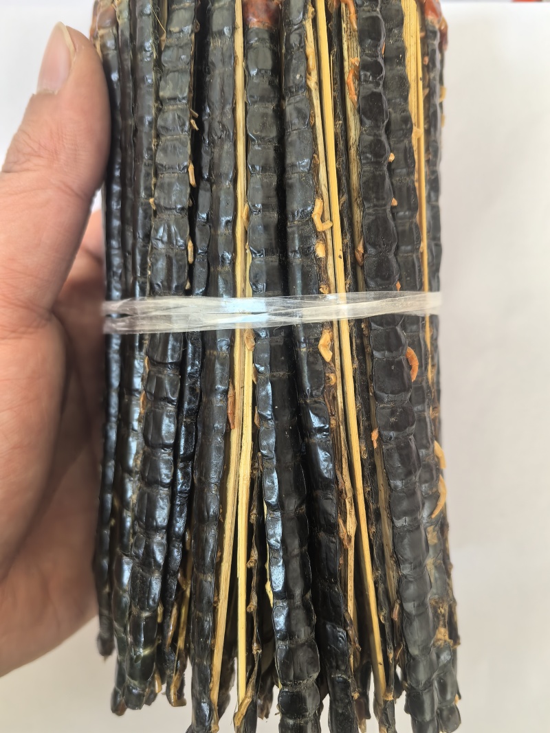 蜈蚣红头黑背蜈蚣湖北蜈蚣15-16公分中药材蜈蚣