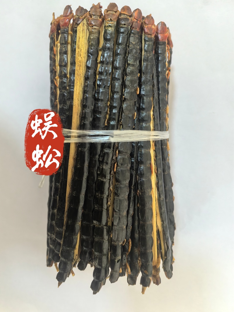 蜈蚣红头黑背蜈蚣湖北蜈蚣15-16公分中药材蜈蚣