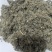 茵陈绵茵陈山东茵陈去尘过筛一手货源中药材茵陈