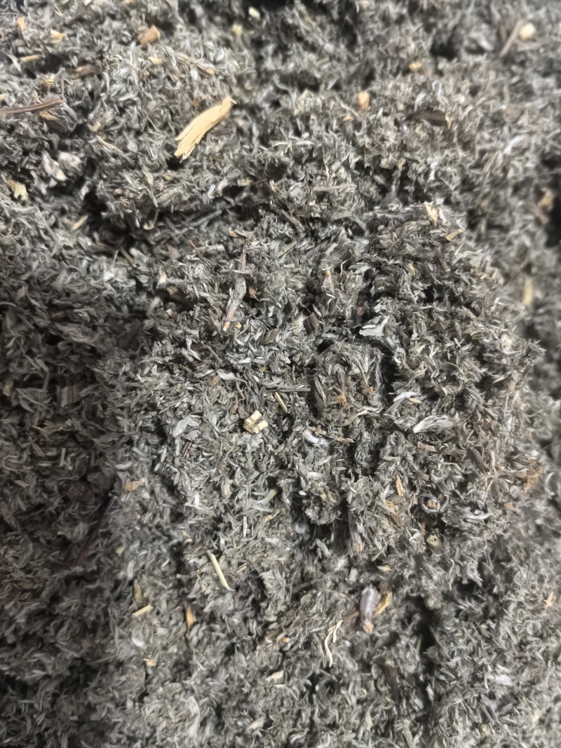 茵陈绵茵陈山东茵陈去尘过筛一手货源中药材茵陈
