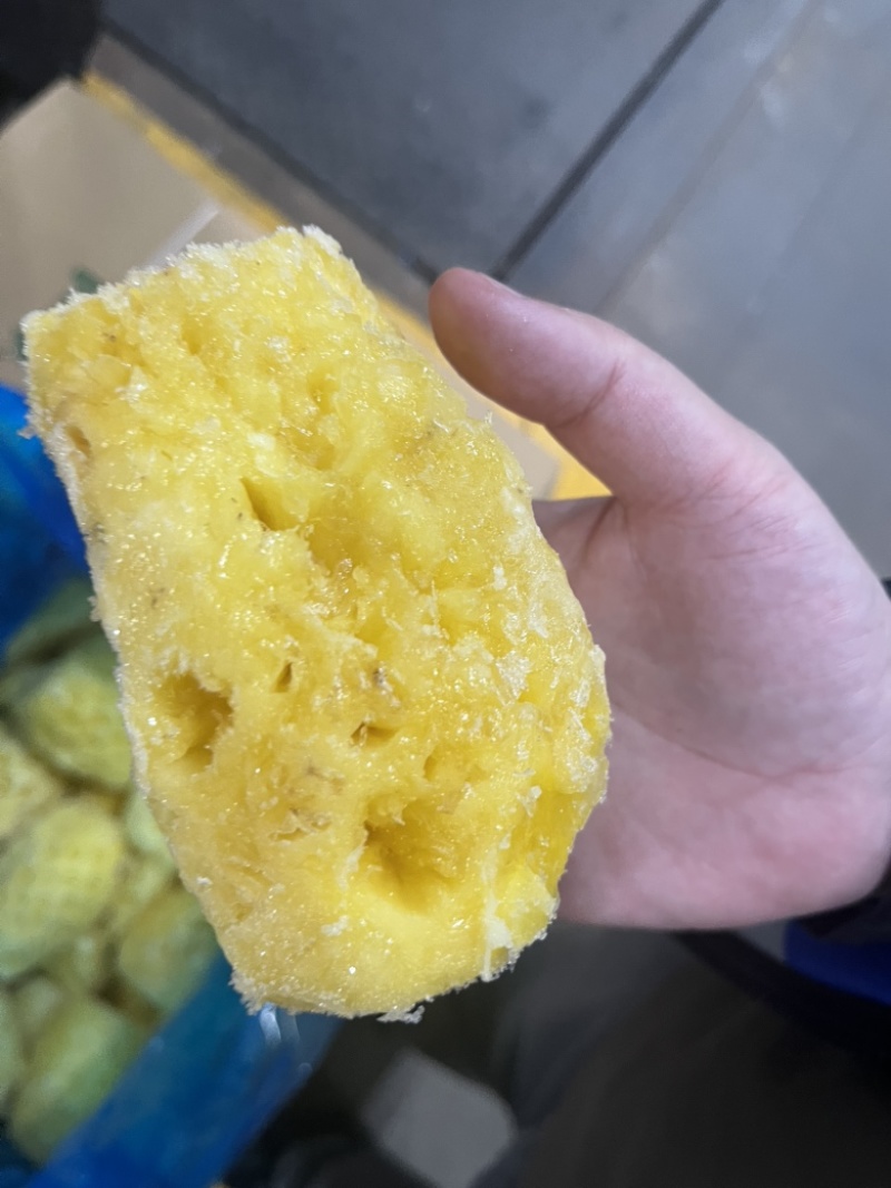 湛江徐闻菠萝肉冻干专用