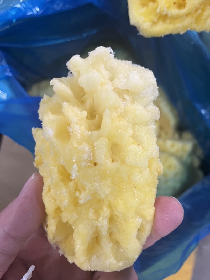 湛江徐闻菠萝肉冻干专用