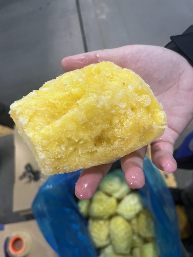 湛江徐闻菠萝肉冻干专用