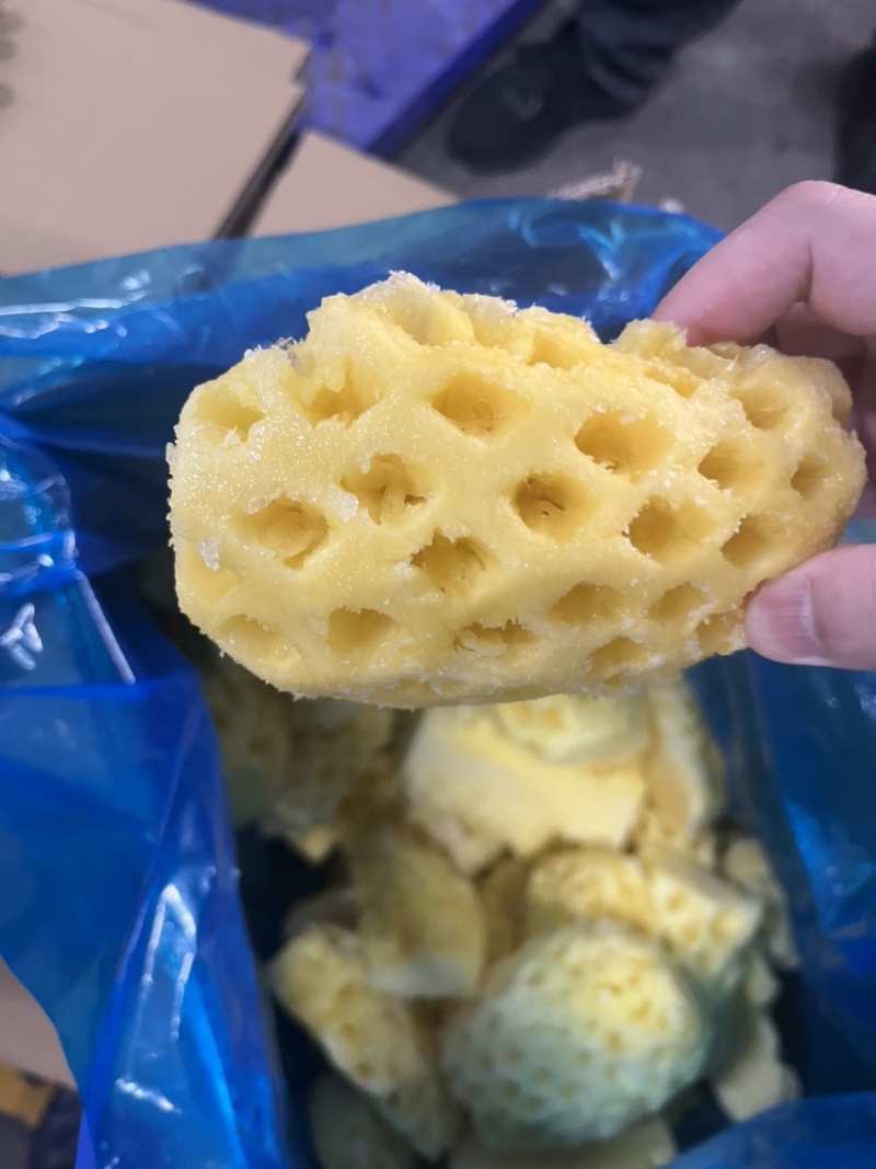 湛江徐闻菠萝肉冻干专用