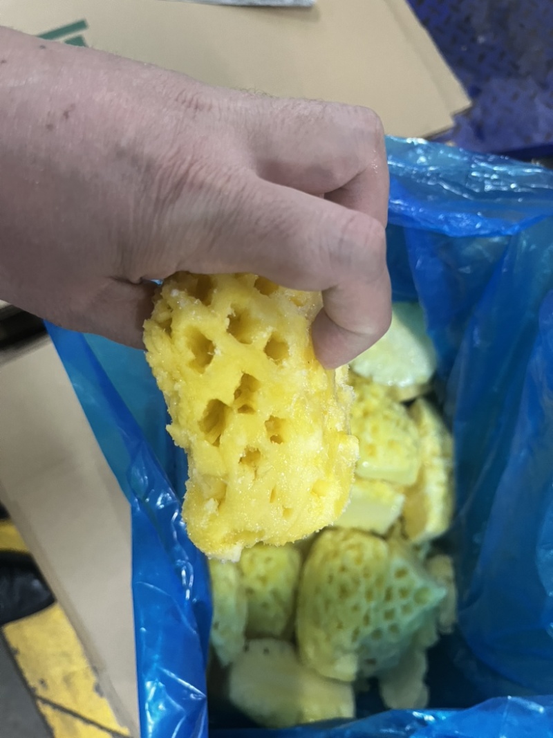 湛江徐闻菠萝肉冻干专用