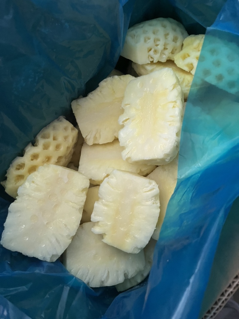 湛江徐闻菠萝肉冻干专用