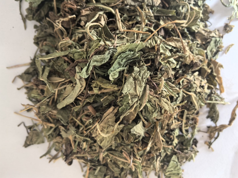 蒲公英家种野生公英中药材公英一手货源现货供应