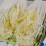 安徽黄心白菜新鲜上市价格美丽质量好对接全国量大从优热卖
