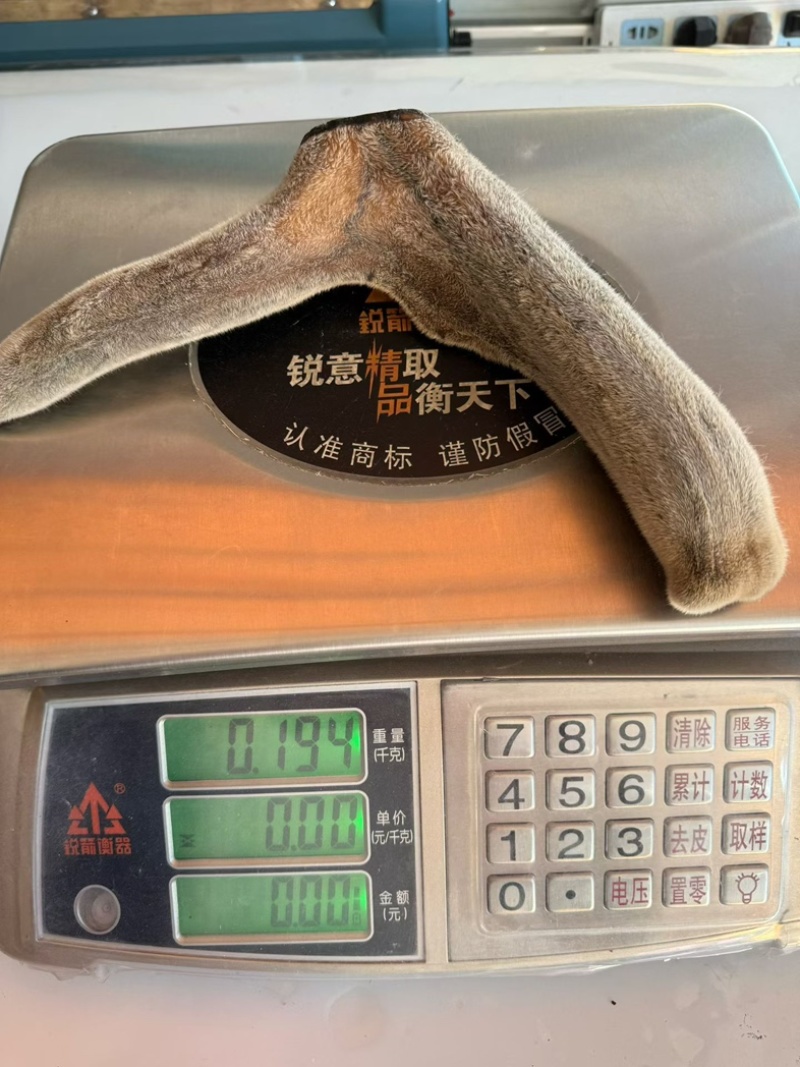 鹿茸根干鹿茸头茬二杠根段干度足干嫩茸可磨粉足干投料