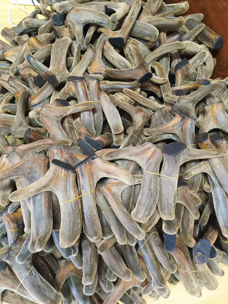 梅花全腊片鹿茸头茬腊片鹿茸片东北吉林腊片整支泡水煲