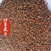 炒莱菔子萝卜子中药材炒莱菔子东弘药材一手货源现货供应