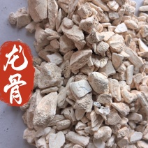 龙骨中药材龙骨东弘药业一手货源现货供应中药材批发零售
