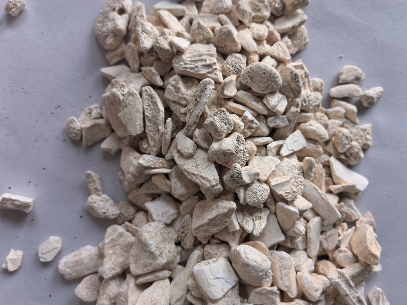 龙骨中药材龙骨东弘药业一手货源现货供应中药材批发零售