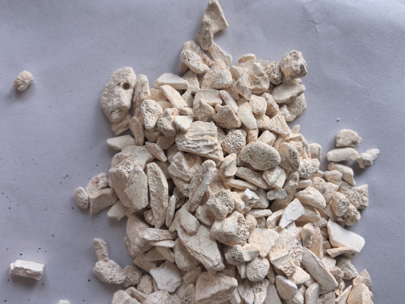 龙骨中药材龙骨东弘药业一手货源现货供应中药材批发零售