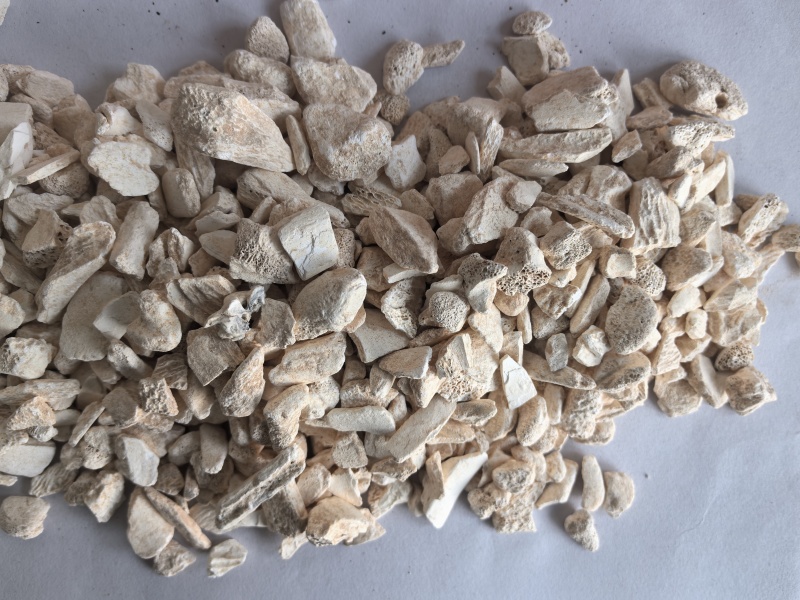 龙骨中药材龙骨东弘药业一手货源现货供应中药材批发零售