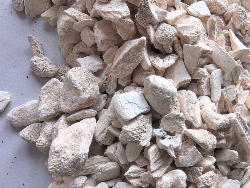 龙骨中药材龙骨东弘药业一手货源现货供应中药材批发零售