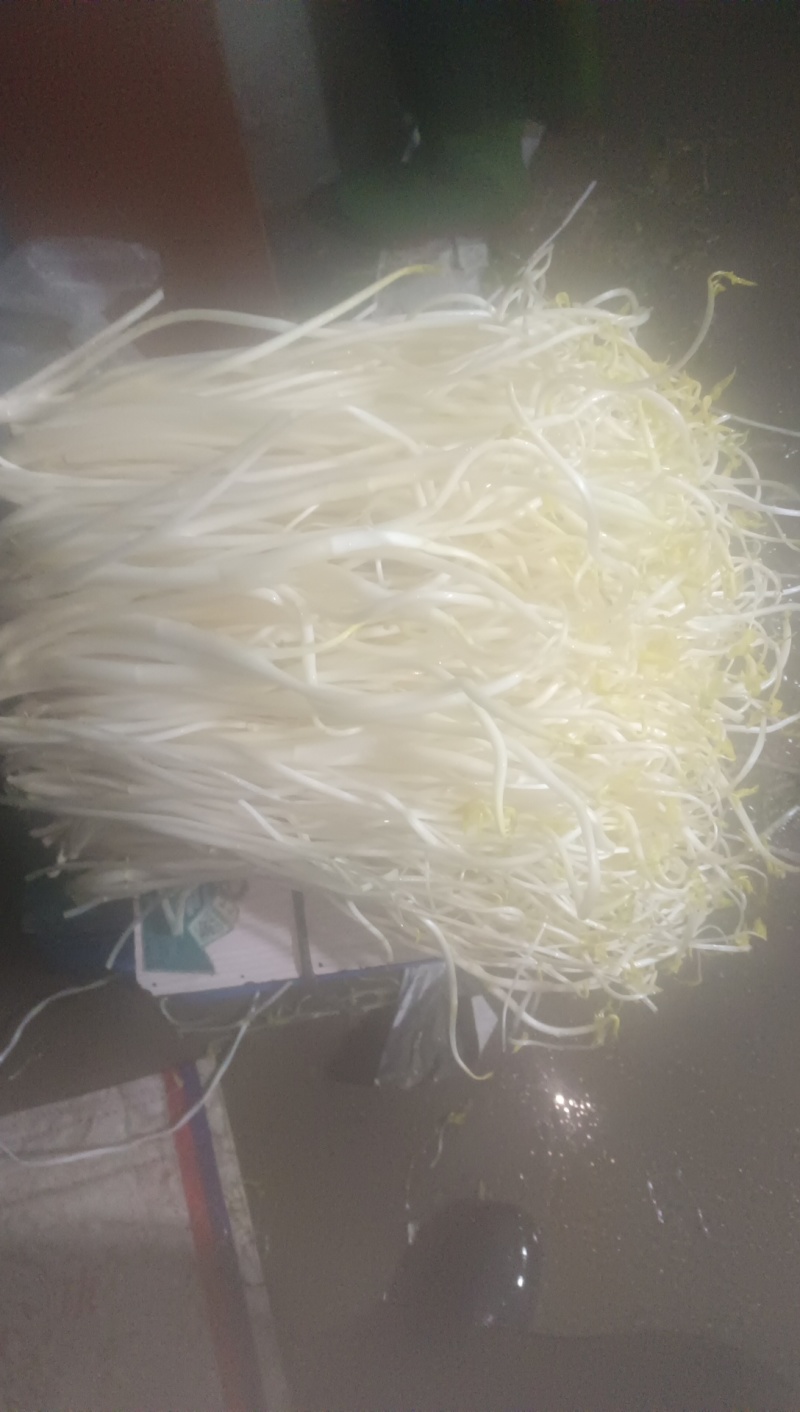 溧阳白芹