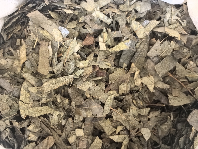 炙淫羊藿中药材淫羊藿东弘药业一手货源现货供应