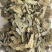 炙淫羊藿中药材淫羊藿东弘药业一手货源现货供应