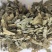 炙淫羊藿中药材淫羊藿东弘药业一手货源现货供应