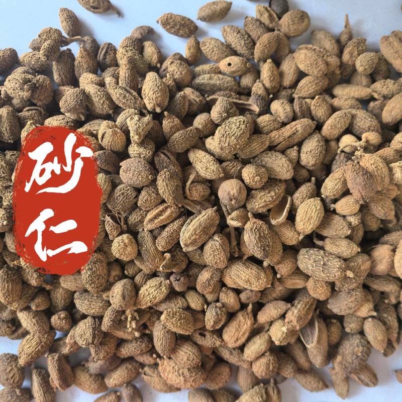 砂仁进口砂仁中药材砂仁东弘药业一手货源现货供应