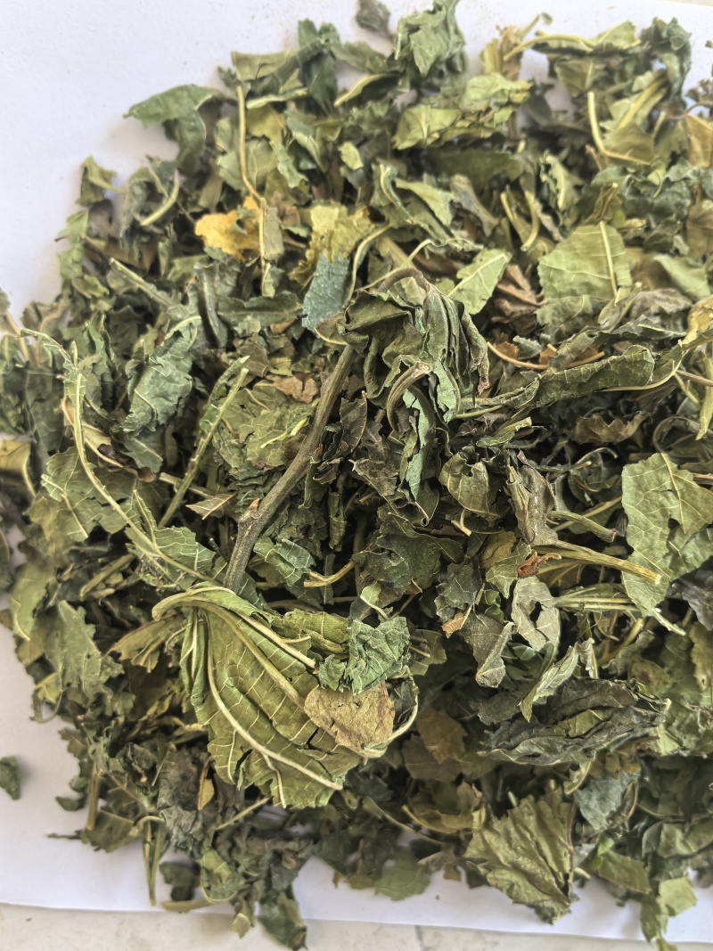 桑叶青桑叶中药材桑叶东弘药业一手货源现货供应