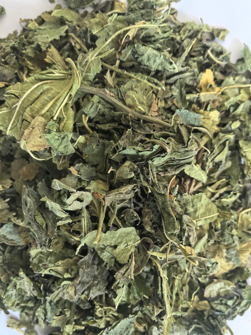 桑叶青桑叶中药材桑叶东弘药业一手货源现货供应