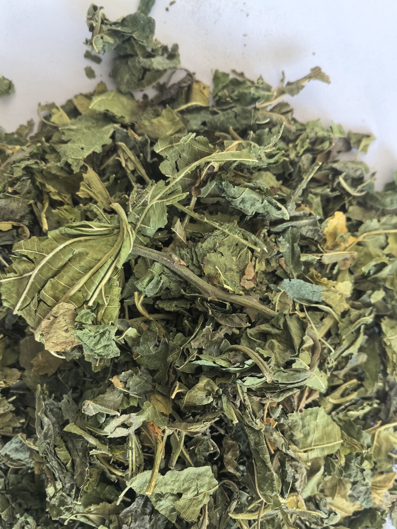 桑叶青桑叶中药材桑叶东弘药业一手货源现货供应