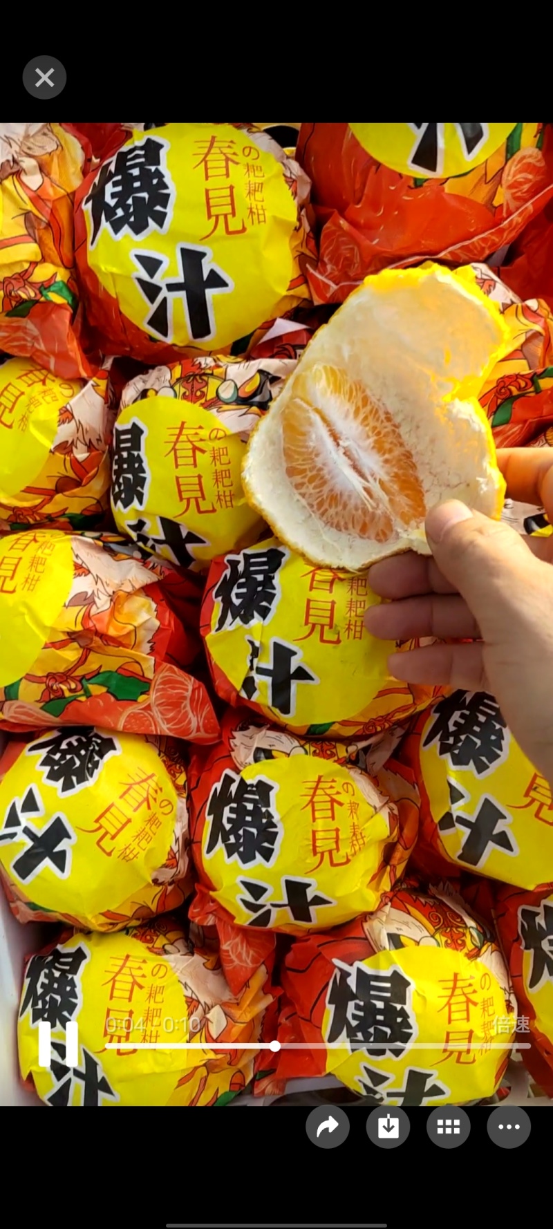 四川春见耙耙柑.各电商代发加薇询价keyin0002