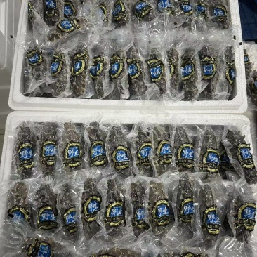 自家工厂加工大连海参