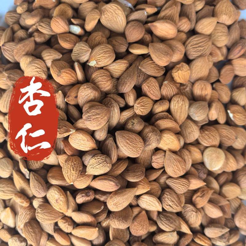 杏仁带皮生杏仁苦杏仁中药材杏仁东弘药业一手货源现货供应