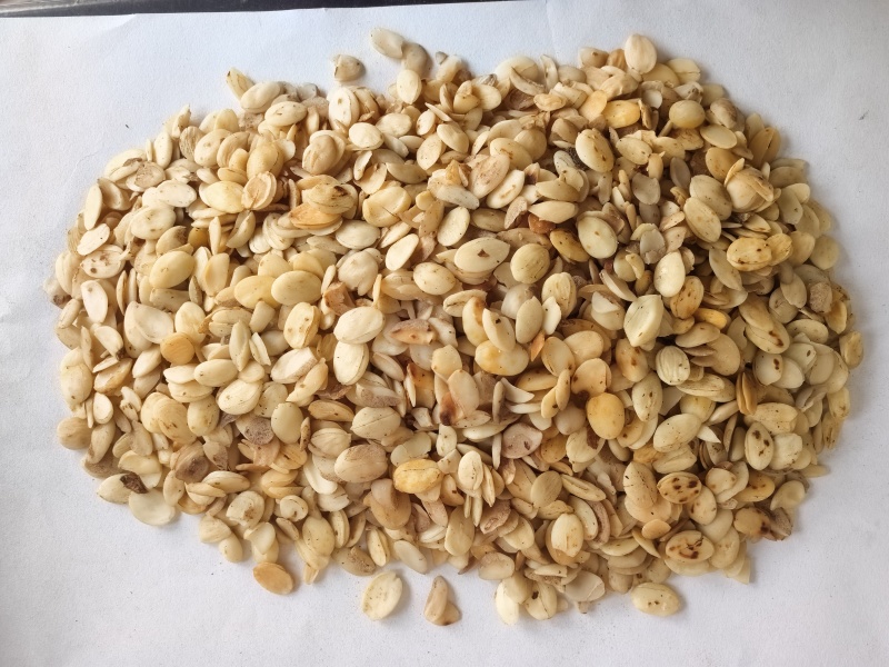 炒桃仁中药材炒桃仁东弘药业一手货源现货供应中药材批发零售