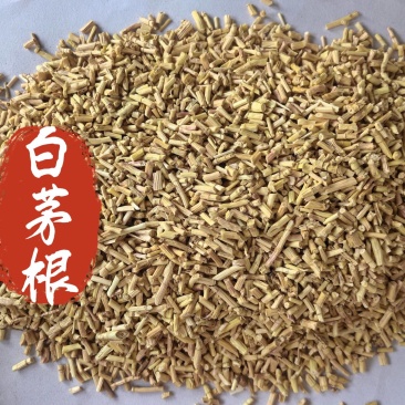 白茅根中药材白茅根东弘药业一手货源现货供应中药材批发零售
