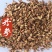 丹参选装丹参片中药材丹参东弘药业一手货源现货供应中药材批