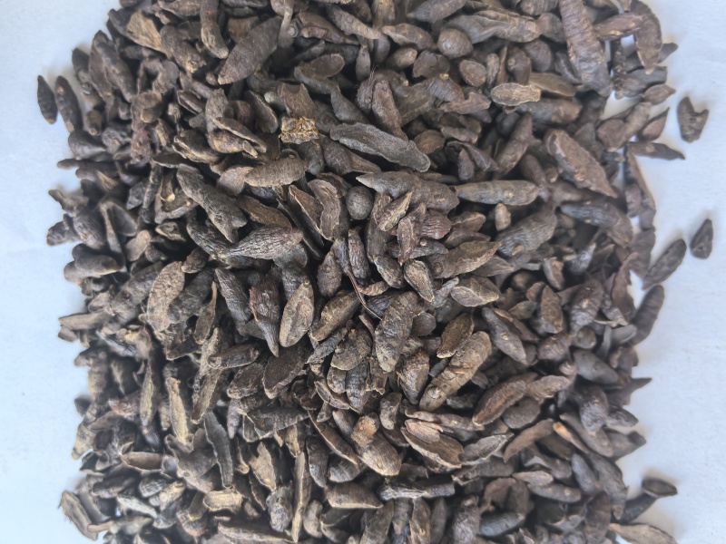 炙香附片中药材香附片东弘药业一手货源现货供应中药材批发零