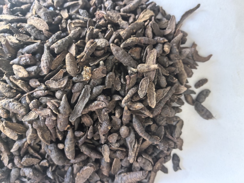 炙香附片中药材香附片东弘药业一手货源现货供应中药材批发零