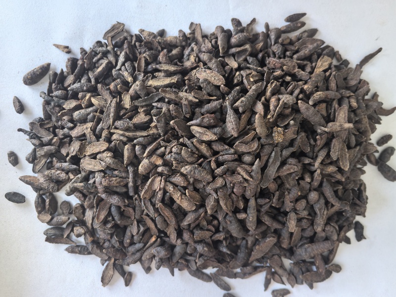 炙香附片中药材香附片东弘药业一手货源现货供应中药材批发零