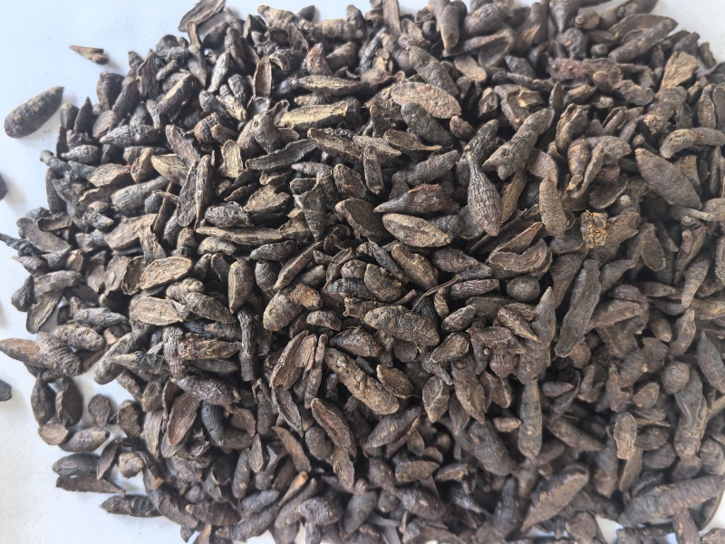炙香附片中药材香附片东弘药业一手货源现货供应中药材批发零