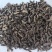 炙香附片中药材香附片东弘药业一手货源现货供应中药材批发零